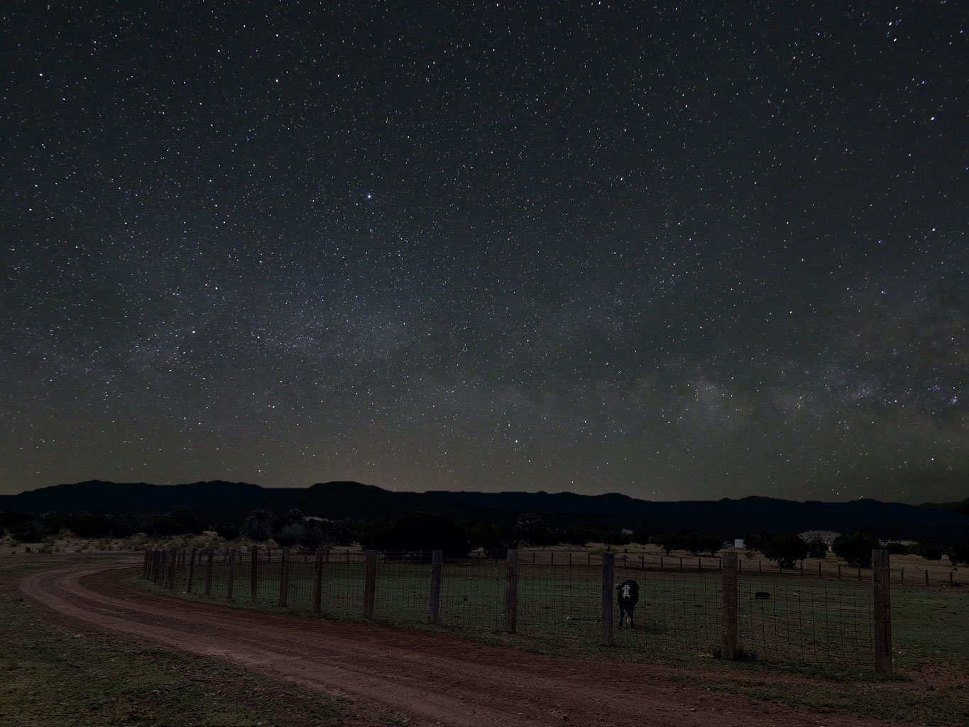 2023-0001-Astroscape Cow ponders Cosmic Milk - Robin Metcalfe