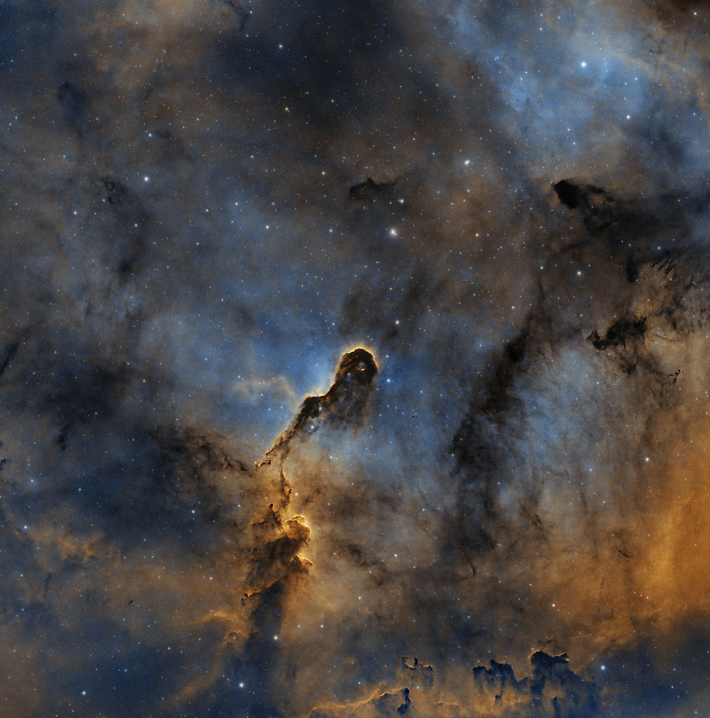 Elephant's Trunk Nebula - Michele Rainville