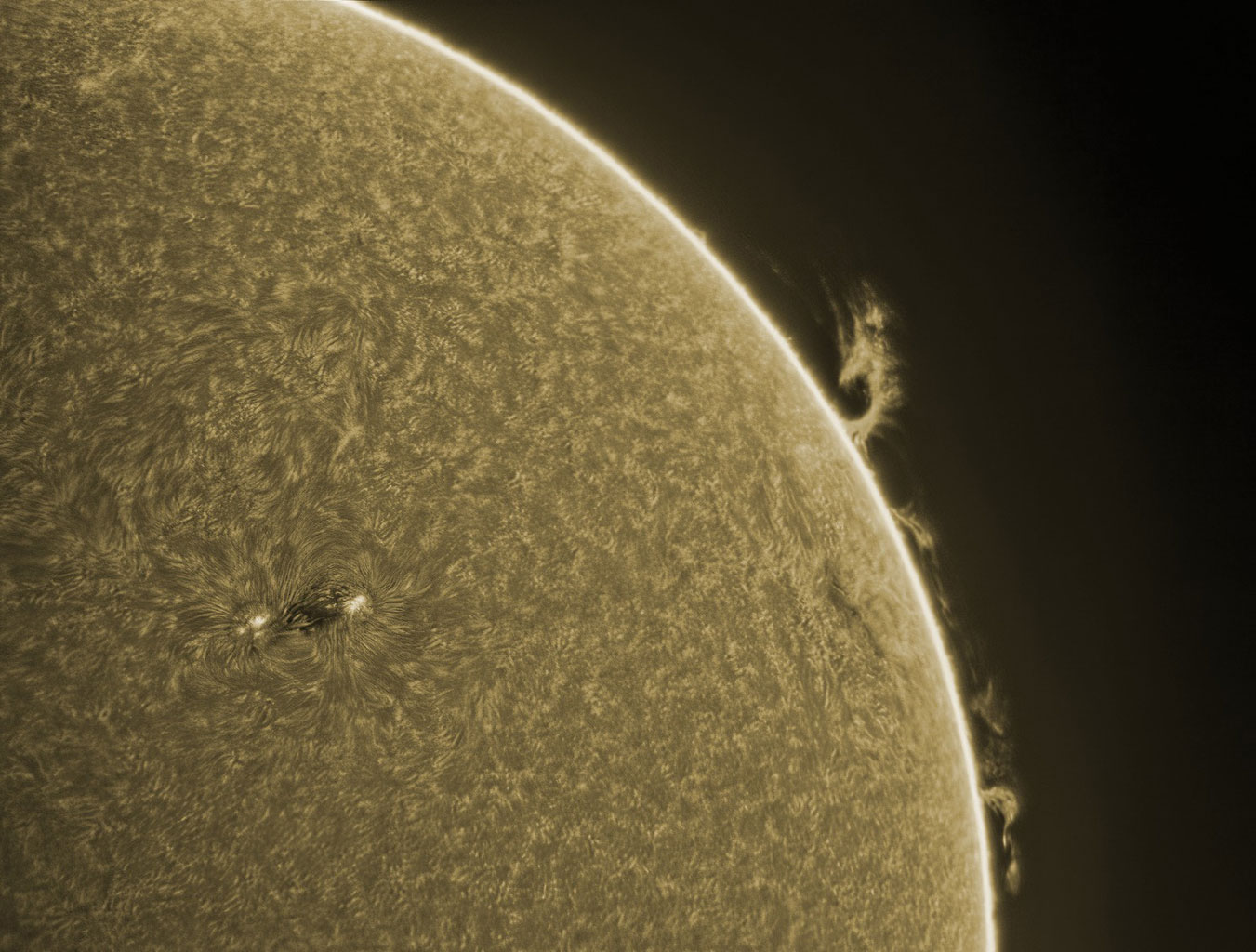 2023-0019-Solar-System Sol - Michele Rainville